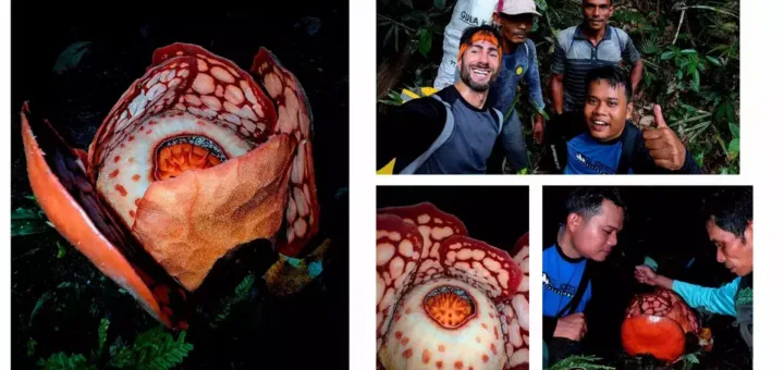 Ramai-Ramai Kritik Oxford: Kontribusi Peneliti Indonesia Diabaikan dalam Ekspedisi Rafflesia