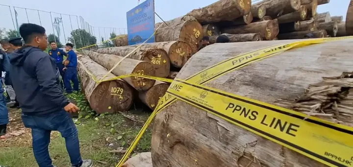 Modus Pencucian Kayu Ilegal Diduga Jadi Akar Kerusakan Hutan Sumatera