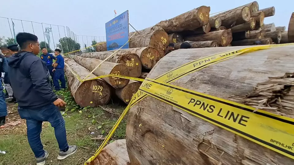 Modus Pencucian Kayu Ilegal Diduga Jadi Akar Kerusakan Hutan Sumatera