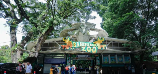 Kebun Binatang Bandung Tetap Terbuka untuk Publik sebagai Ruang Hijau