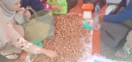 Harga Kebutuhan Pokok di Kerinci Masih Stabil Awal Januari