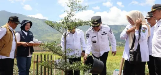 Pemkot Sungai Penuh Ikut Gerakan Tanam Pohon Serentak