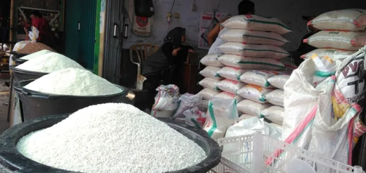 Produksi Beras Nasional 2025 Naik Capai 34,71 Juta Ton