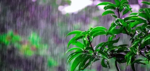 BMKG Peringatkan Potensi Dampak Musim Penghujan