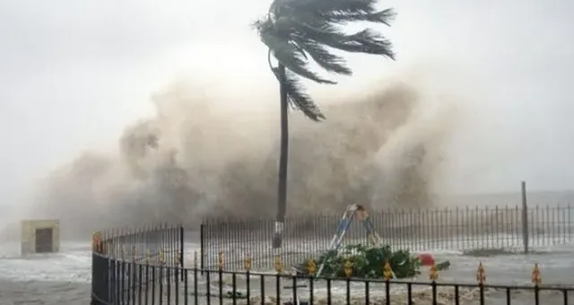 30 Ribu Rumah Tanpa Listrik, Banjir dan Pohon Tumbang Kepung Selandia Baru