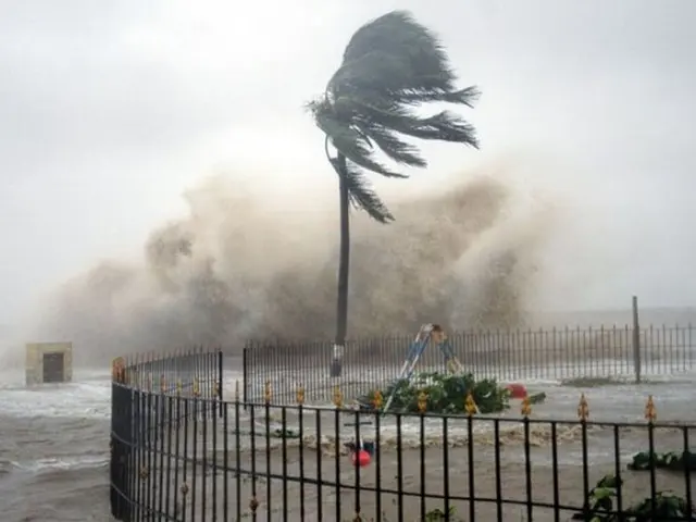30 Ribu Rumah Tanpa Listrik, Banjir dan Pohon Tumbang Kepung Selandia Baru