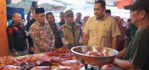 Program MBG Dorong Perputaran Ekonomi Rp57 Miliar per Bulan di Merangin