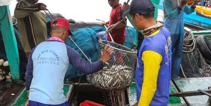 KKP Dorong Penerapan Stelina untuk Perluas Pasar Ekspor