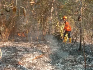 Alarm Karhutla! Badan Meteorologi, Klimatologi, dan Geofisika Catat Lonjakan Titik Panas di Riau