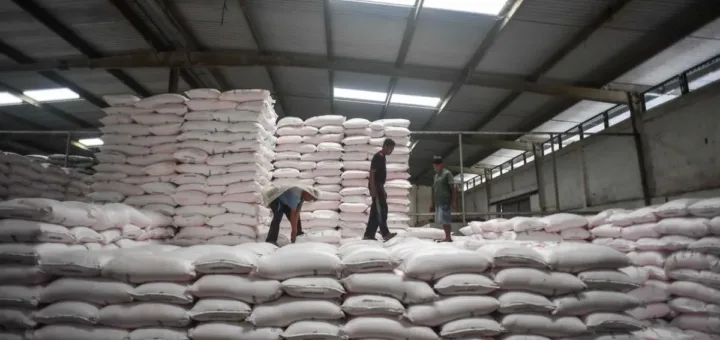 Jelang Musim Tanam II, Stok Pupuk Subsidi di Indramayu, Karawang, Subang Terkendali