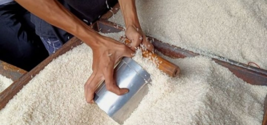 Hadapi Ancaman El Nino, Bulog Pastikan Cadangan Beras Nasional Tetap Aman
