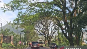 Waspada! Polisi Pasang Rambu di Titik Rawan Longsor dan Pohon Tumbang di Kabupaten Cianjur