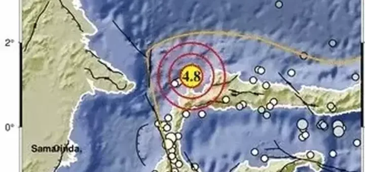 Gempa Magnitudo 4,8 Guncang Tolitoli, BMKG Sebut Dipicu Sesar Aktif