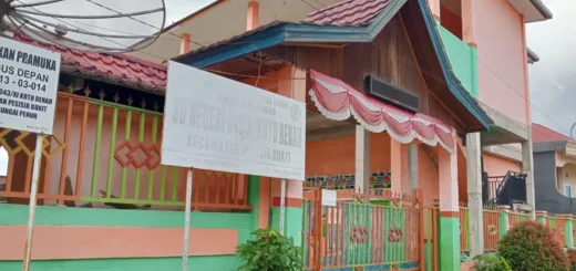 Polemik Dana Sertifikasi Guru PPPK, Kepsek SDN 043/XI Koto Renah Tegaskan Tak Ada Pungli