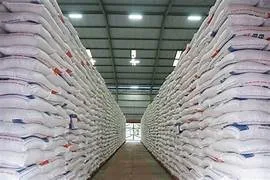 Serapan Bulog Capai 2,8 Juta Ton, Cadangan Beras Nasional Tembus 5,37 Juta Ton