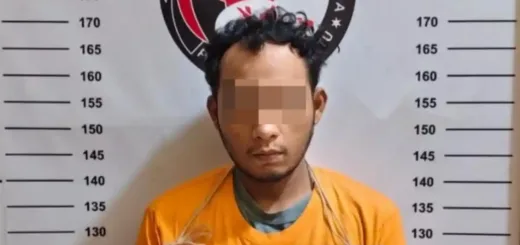 Residivis Ditangkap, Polisi Gagalkan Peredaran 15 Paket Sabu di Labuhanbatu Utara