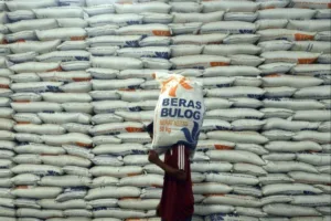 Indonesia Jadi Lumbung Pangan Baru, Prabowo Sebut Banyak Negara Cari Beras RI