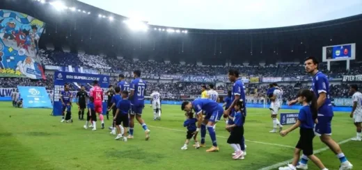 Persib Bandung dan Borneo FC Amankan Tiket ke ASEAN Club Championship