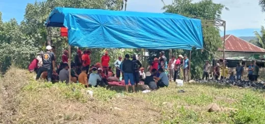 Iduladha 2026, Masyarakat Koto Majidin Kompak Berkurban 39 Ekor Sapi