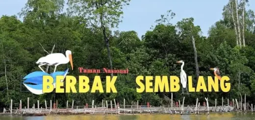 Hadapi Musim Kemarau 2026, TNBS Bentuk Tim Khusus Pencegah Kebakaran Hutan
