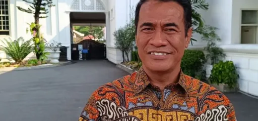 Harga TBS Tak Kunjung Naik, Ratusan Perusahaan Sawit Akan Diperiksa
