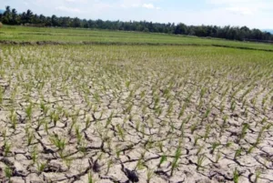 Kekeringan Mulai Meluas, BPBD Jateng Siapkan 123 Juta Liter Air untuk Warga
