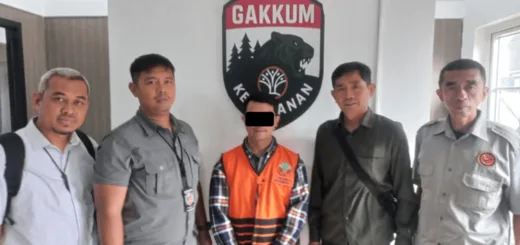Owa Jawa dan Biawak Tiga Warna Hendak Diselundupkan ke Oman, Seorang Pria diamankan