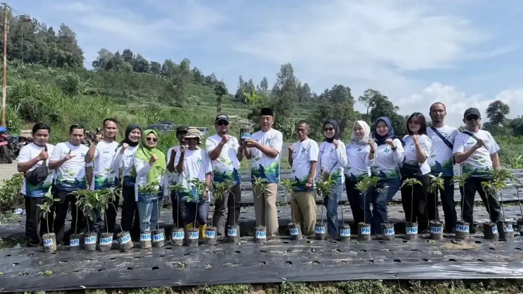 Gerakan Hijau Nasional, PNM Tanam 27 Ribu Pohon di Seluruh Indonesia