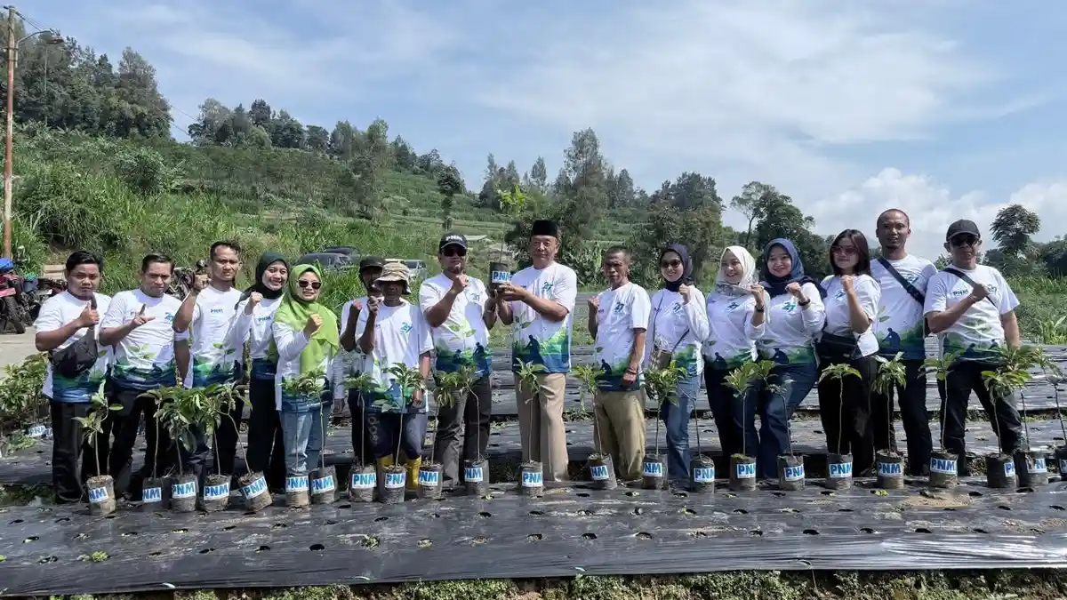 Gerakan Hijau Nasional, PNM Tanam 27 Ribu Pohon di Seluruh Indonesia