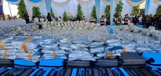 BNN Gagalkan Penyelundupan 3,37 Ton Ganja Asal Thailand, Disamarkan dalam 500 Koper
