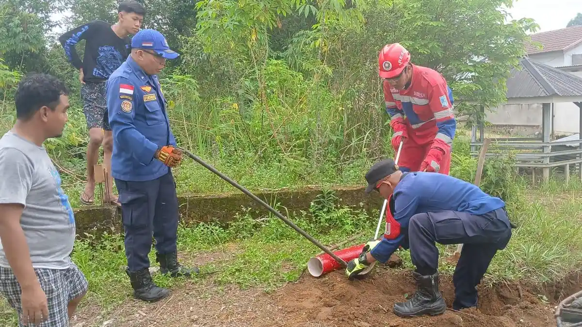 Damkar Evakuasi Induk Ular Kobra dan 8 Butir Telur di Permukiman Warga Kota Jambi