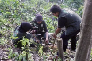 Kemenhut Cetak Generasi Penjaga Hutan Lewat Forest Youthverse Summit 2026