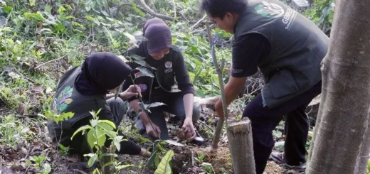 Kemenhut Cetak Generasi Penjaga Hutan Lewat Forest Youthverse Summit 2026