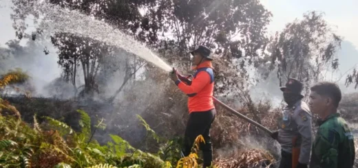 Lahan Gambut Terbakar Lebih 6 Hektare, Polda Jambi Siap Selidiki Pemicu Karhutla