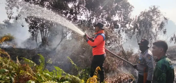 Lahan Gambut Terbakar Lebih 6 Hektare, Polda Jambi Siap Selidiki Pemicu Karhutla