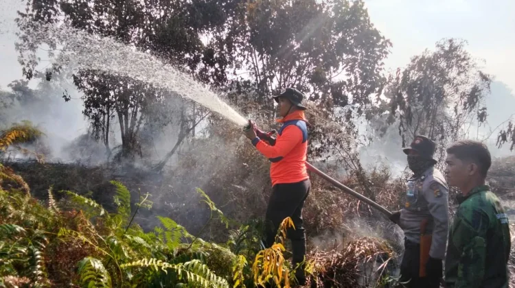 Lahan Gambut Terbakar Lebih 6 Hektare, Polda Jambi Siap Selidiki Pemicu Karhutla